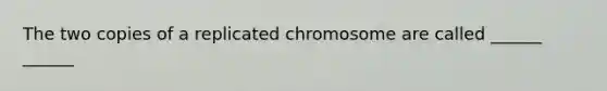 The two copies of a replicated chromosome are called ______ ______