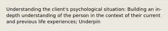 Understanding the client's psychological situation: Building an in-depth understanding of the person in the context of their current and previous life experiences; Underpin