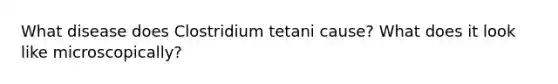 What disease does Clostridium tetani cause? What does it look like microscopically?