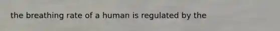 the breathing rate of a human is regulated by the