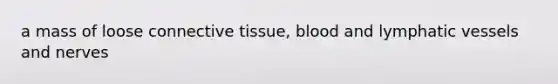 a mass of loose <a href='https://www.questionai.com/knowledge/kYDr0DHyc8-connective-tissue' class='anchor-knowledge'>connective tissue</a>, blood and <a href='https://www.questionai.com/knowledge/ki6sUebkzn-lymphatic-vessels' class='anchor-knowledge'>lymphatic vessels</a> and nerves