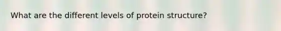 What are the different levels of protein structure?