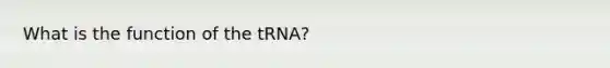 What is the function of the tRNA?