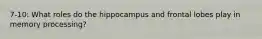 7-10: What roles do the hippocampus and frontal lobes play in memory processing?