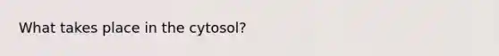 What takes place in the cytosol?