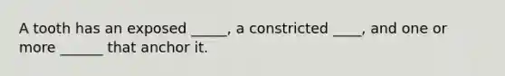 A tooth has an exposed _____, a constricted ____, and one or more ______ that anchor it.