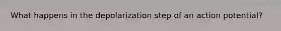 What happens in the depolarization step of an action potential?