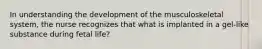 In understanding the development of the musculoskeletal system, the nurse recognizes that what is implanted in a gel-like substance during fetal life?