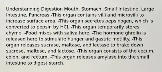 Understanding Digestion Mouth, Stomach, Small Intestine, Large Intestine, Pancreas -This organ contains villi and microvilli to increase <a href='https://www.questionai.com/knowledge/kEtsSAPENL-surface-area' class='anchor-knowledge'>surface area</a>. -This organ secretes pepsinogen, which is converted to pepsin by HCl. -This organ temporarily stores chyme. -Food mixes with saliva here. -The hormone ghrelin is released here to stimulate hunger and gastric motility. -This organ releases sucrase, maltase, and lactase to brake down sucrose, maltose, and lactose. -This organ consists of the cecum, colon, and rectum. -This organ releases amylase into the small intestine to digest starch.