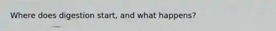 Where does digestion start, and what happens?