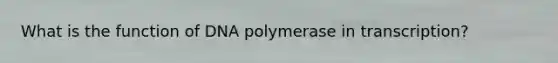 What is the function of DNA polymerase in transcription?