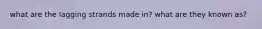 what are the lagging strands made in? what are they known as?