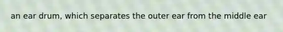 an ear drum, which separates the outer ear from the middle ear