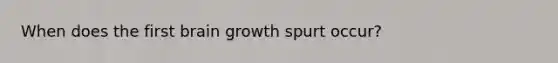 When does the first brain growth spurt occur?