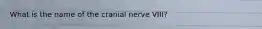 What is the name of the cranial nerve VIII?