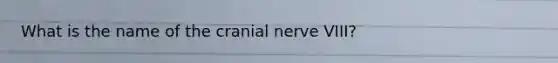 What is the name of the cranial nerve VIII?