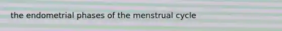 the endometrial phases of the menstrual cycle