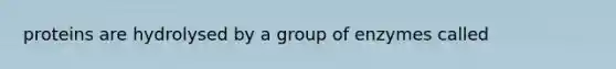 proteins are hydrolysed by a group of enzymes called