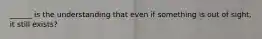 ______ is the understanding that even if something is out of sight, it still exists?