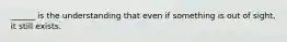 ______ is the understanding that even if something is out of sight, it still exists.