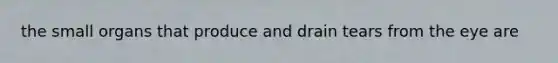 the small organs that produce and drain tears from the eye are