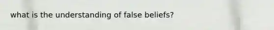 what is the understanding of false beliefs?