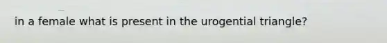 in a female what is present in the urogential triangle?