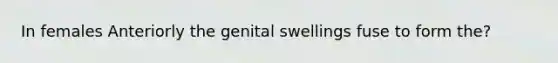 In females Anteriorly the genital swellings fuse to form the?