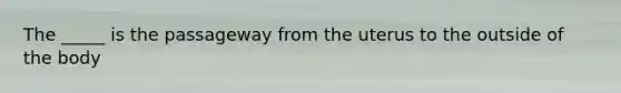 The _____ is the passageway from the uterus to the outside of the body