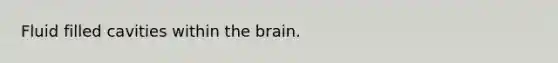 Fluid filled cavities within <a href='https://www.questionai.com/knowledge/kLMtJeqKp6-the-brain' class='anchor-knowledge'>the brain</a>.