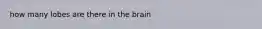 how many lobes are there in the brain