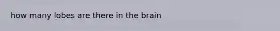 how many lobes are there in <a href='https://www.questionai.com/knowledge/kLMtJeqKp6-the-brain' class='anchor-knowledge'>the brain</a>