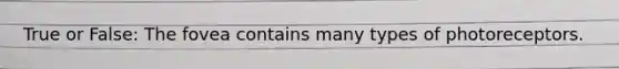 True or False: The fovea contains many types of photoreceptors.