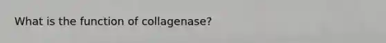 What is the function of collagenase?