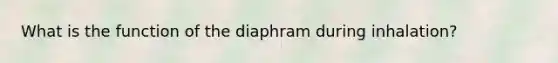 What is the function of the diaphram during inhalation?