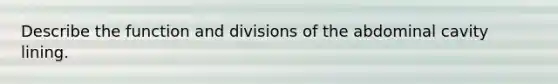 Describe the function and divisions of the abdominal cavity lining.