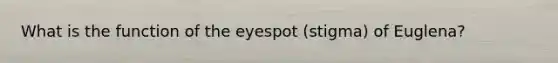 What is the function of the eyespot (stigma) of Euglena?