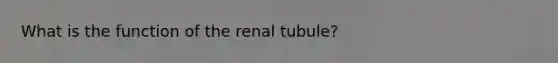 What is the function of the renal tubule?