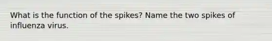 What is the function of the spikes? Name the two spikes of influenza virus.