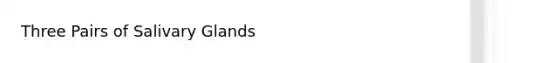 Three Pairs of Salivary Glands