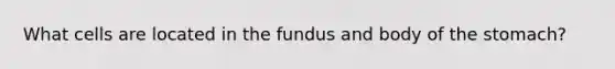 What cells are located in the fundus and body of <a href='https://www.questionai.com/knowledge/kLccSGjkt8-the-stomach' class='anchor-knowledge'>the stomach</a>?