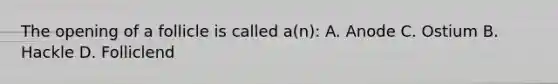 The opening of a follicle is called a(n): A. Anode C. Ostium B. Hackle D. Folliclend