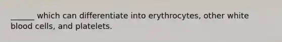 ______ which can differentiate into erythrocytes, other white blood cells, and platelets.