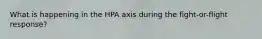 What is happening in the HPA axis during the fight-or-flight response?