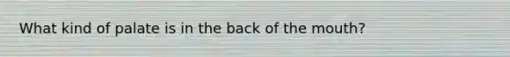 What kind of palate is in the back of <a href='https://www.questionai.com/knowledge/krBoWYDU6j-the-mouth' class='anchor-knowledge'>the mouth</a>?