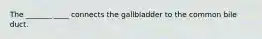 The _______ ____ connects the gallbladder to the common bile duct.