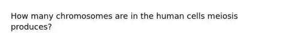 How many chromosomes are in the human cells meiosis produces?