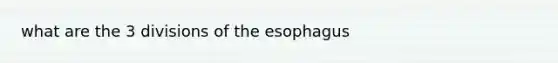 what are the 3 divisions of <a href='https://www.questionai.com/knowledge/kSjVhaa9qF-the-esophagus' class='anchor-knowledge'>the esophagus</a>