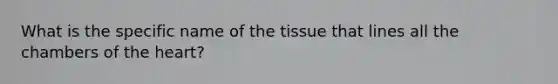 What is the specific name of the tissue that lines all the chambers of <a href='https://www.questionai.com/knowledge/kya8ocqc6o-the-heart' class='anchor-knowledge'>the heart</a>?