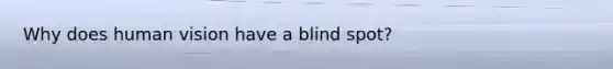 Why does human vision have a blind spot?